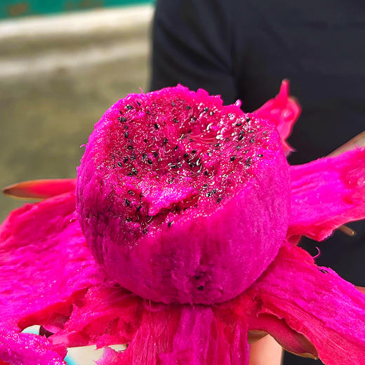 『攀枝花树上熟有机火龙果』靓丽浓甜，爽滑多汁，带有天然的玫瑰花香味 商品图1