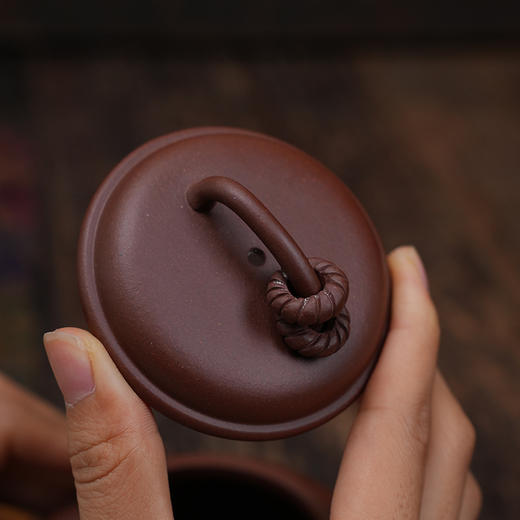 徐小明 双圈壶 宜兴紫砂原矿茶壶紫砂壶功夫茶泡茶壶茶具仿古 商品图5