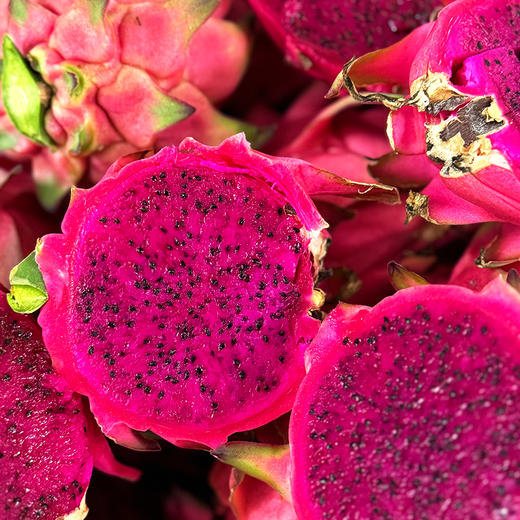 『攀枝花树上熟有机火龙果』靓丽浓甜，爽滑多汁，带有天然的玫瑰花香味 商品图2