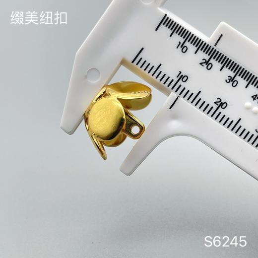 S6245 商品图5