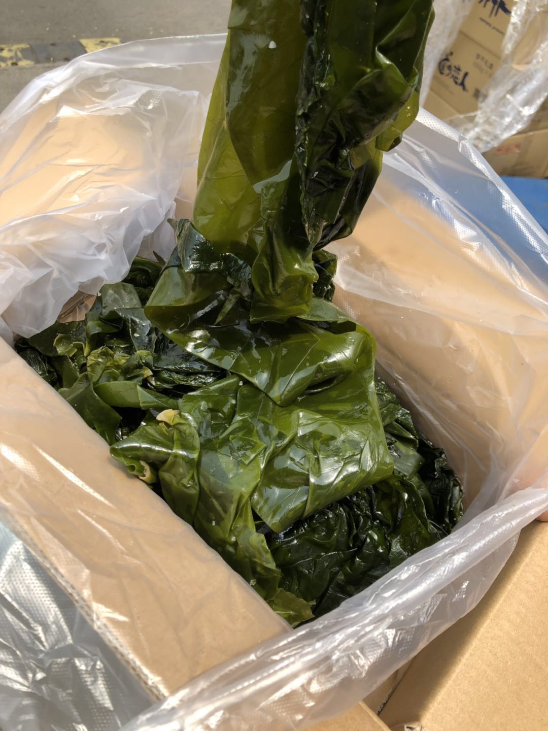 周五取货：【海带边】一箱毛重3斤左右，鲜嫩可口！薄而劲道！完整不碎！