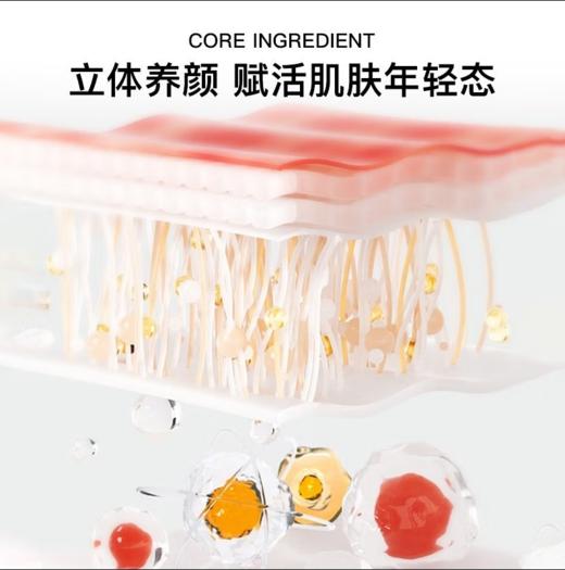 韩束聚时光奢养紧致修护六件套新款-6762 商品图3