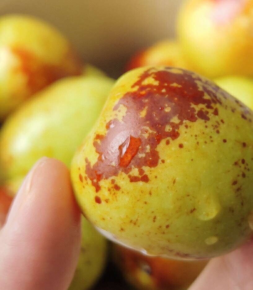 酥脆甘蔗甜，大荔冬枣（不甜可退）