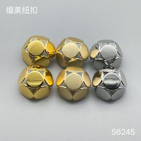 S6245