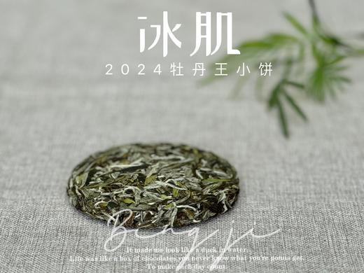 【好茶来了】2024白牡丹《小冰肌》，柔！润！滑！细！花香潋滟，汤水柔中带润，润中含香 商品图4
