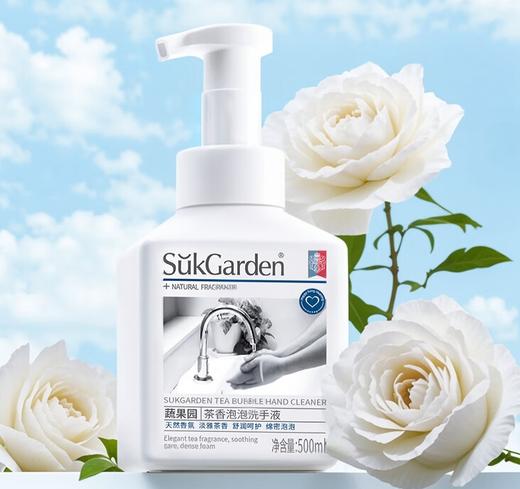 蔬果园茶香泡泡洗手液500ml 商品图0
