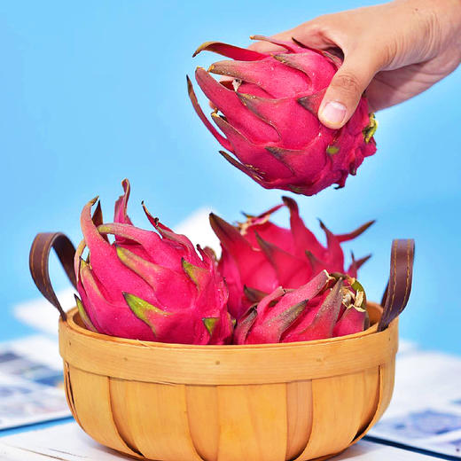 『攀枝花树上熟有机火龙果』靓丽浓甜，爽滑多汁，带有天然的玫瑰花香味 商品图10