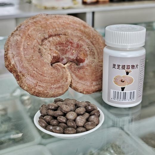 灵芝提取物片 商品图3