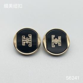 S6241