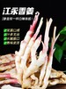 江永 玉指香姜 | 脆如冬笋嫩如瓜，姜汁浓郁，香味与众不同！ 商品缩略图0