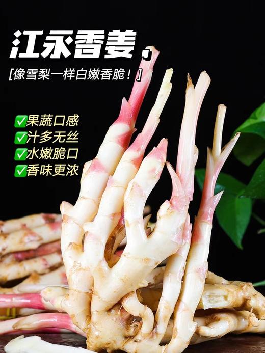江永 玉指香姜 | 脆如冬笋嫩如瓜，姜汁浓郁，香味与众不同！ 商品图0