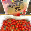 千禧圣女果礼盒装（玲珑小番茄）净果约1kg 商品缩略图1