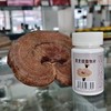 灵芝提取物片 商品缩略图0