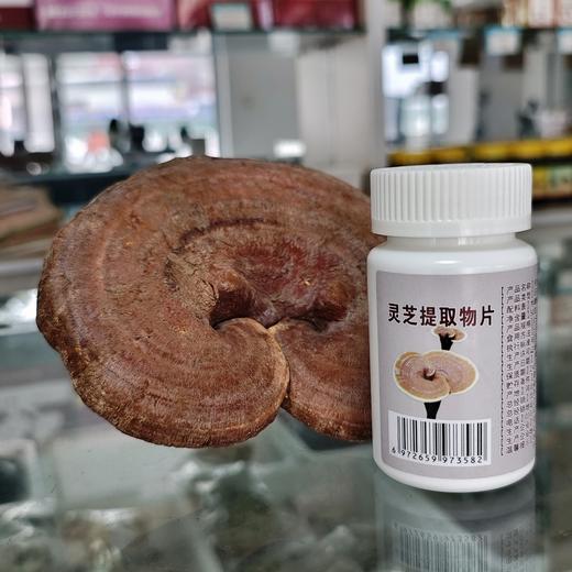 灵芝提取物片 商品图0