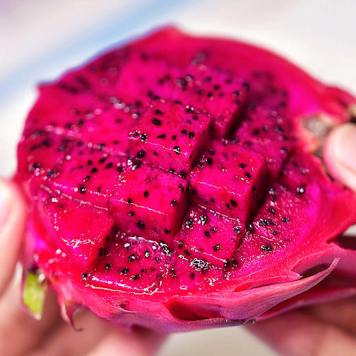 『攀枝花树上熟有机火龙果』靓丽浓甜，爽滑多汁，带有天然的玫瑰花香味 商品图14