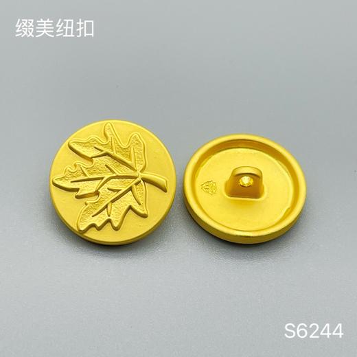 S6244 商品图1