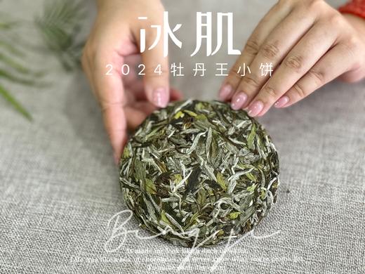 【好茶来了】2024白牡丹《小冰肌》，柔！润！滑！细！花香潋滟，汤水柔中带润，润中含香 商品图1