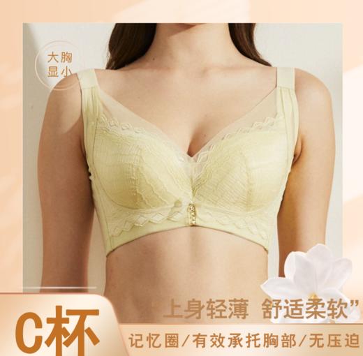 【满2件/99元】【C杯单件】【秀黛】水盈梦境记忆圈薄杯文胸H6113025C【专柜同款】【如遇缺货自动退款，介意勿拍】 商品图0
