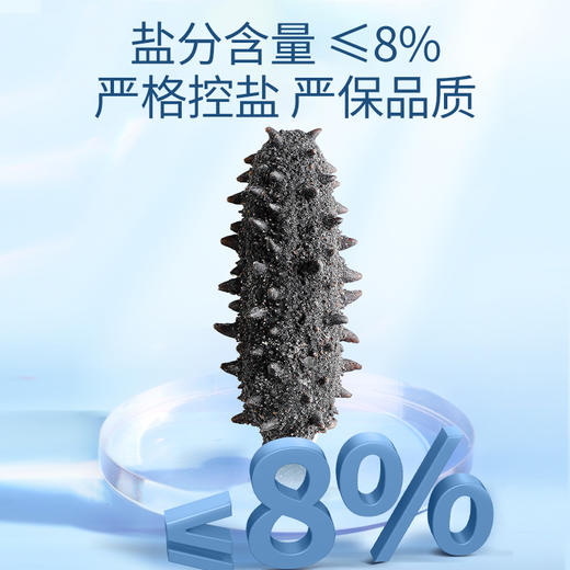 【正宗同仁堂品牌】北京同仁堂 净制海参干海参100克(151-200头/500克) 去砂嘴 去内脏 严格控盐 品质严选SY 商品图3