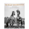 【预订】Wild Horses | 野马 动物肖像摄影集 商品缩略图0