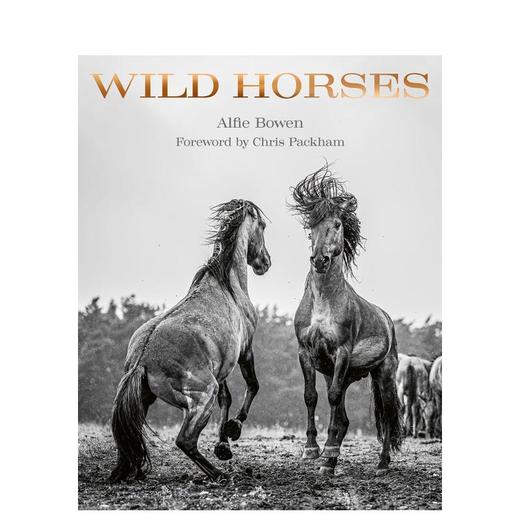 【预订】Wild Horses | 野马 动物肖像摄影集 商品图0