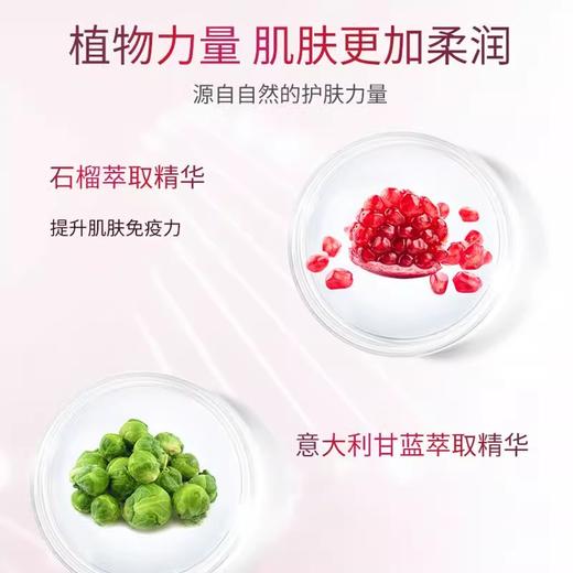 自营（天气丹）-韩国奈碧石榴鲜活二件套 商品图4