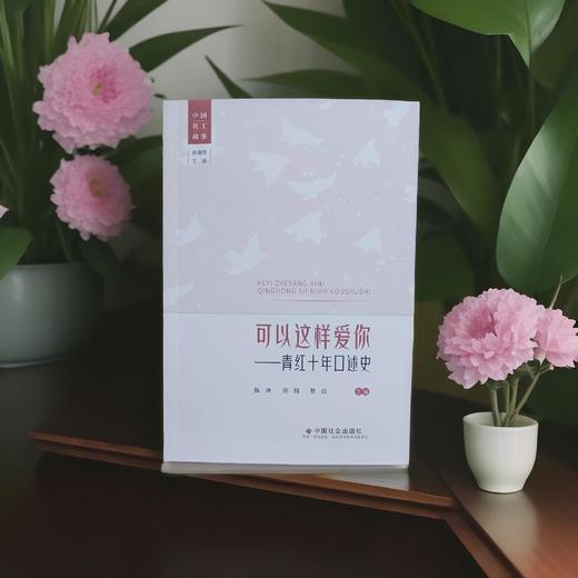 可以这样爱你：青红十年口述史 商品图1