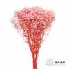 满天星 | 粉色 商品缩略图0