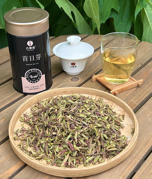 内部少量分享！2024年【首日鲜芽紫芽苞】临沧大雪山头春只采头三天；邀君共品第一口“鲜”每份100g，每个id限购3份 商品图0