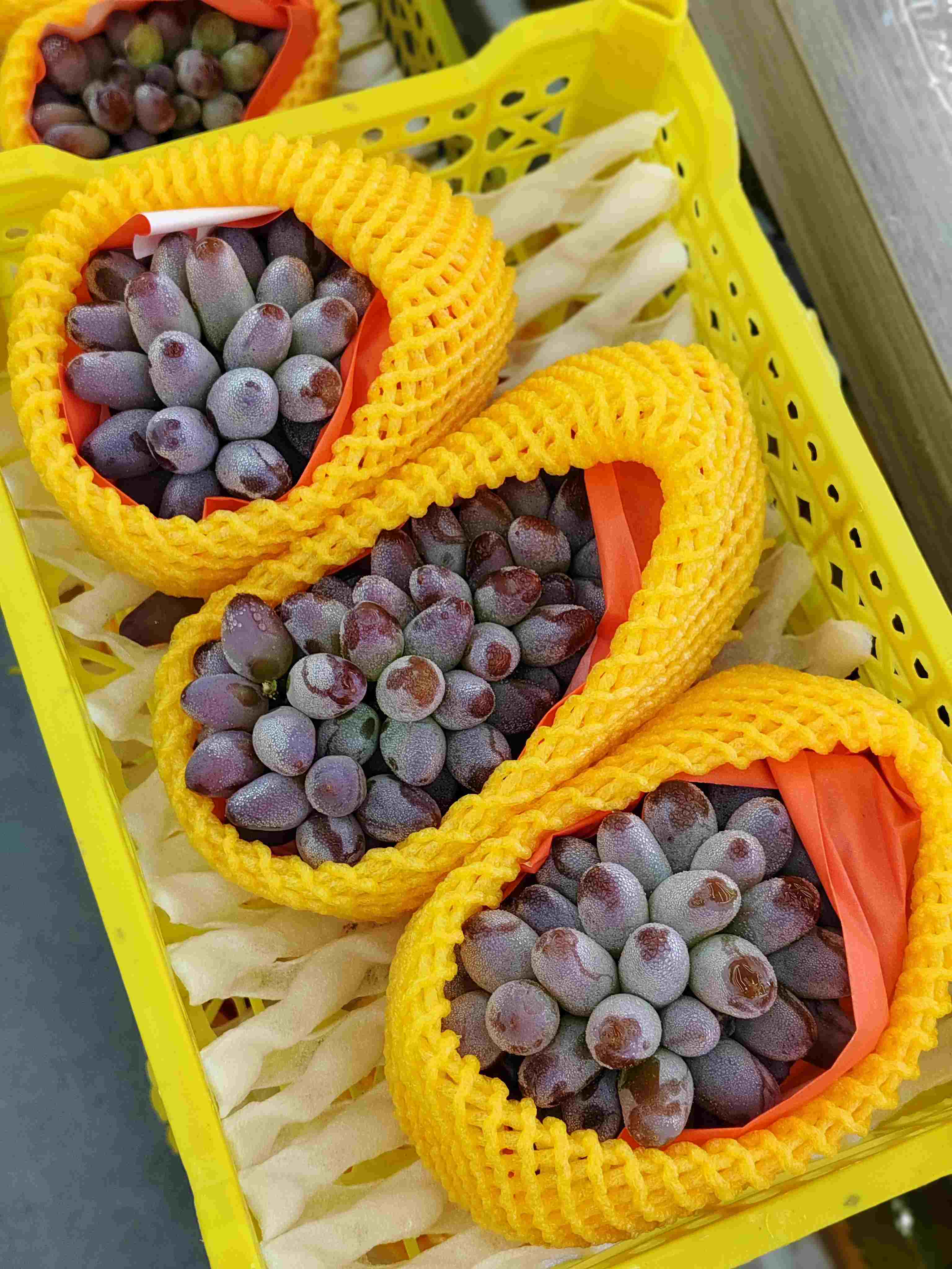 预定17.8元一件茉莉香葡萄3串装（7.30提货）