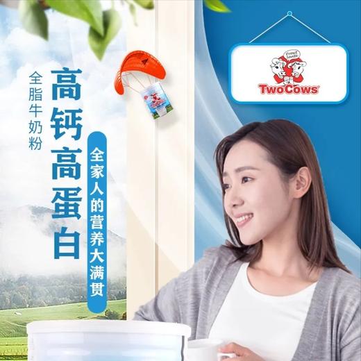 【保税区包邮直发】荷兰 TowCows双牛 全脂/脱脂奶粉 商品图3