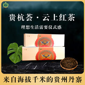 云上红茶