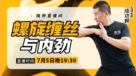 揭秘六：螺旋缠丝与内劲 商品图0