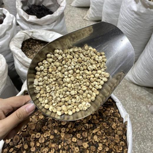 川贝  川贝母 商品图3