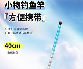 【儿童鱼竿】下单送垂钓三件套！小孩短节迷你小手竿手杆超轻小物钓鱼竿溪流便携