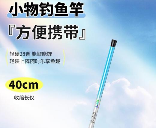 【儿童鱼竿】下单送垂钓三件套！小孩短节迷你小手竿手杆超轻小物钓鱼竿溪流便携 商品图0