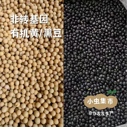 有机豆浆粉 25g*10包  | 合作农友生产，黑龙江绥化市，生产者：刘福财 &【公平贸易农人定价】 商品图2