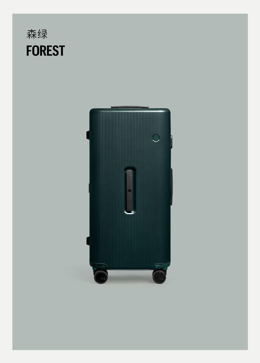 ITO PISTACHIO STRIPED TRUNK30寸拉杆箱（送同品牌的行李牌+箱面清洗剂） 商品图9