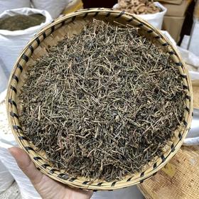 云南白花蛇舌草