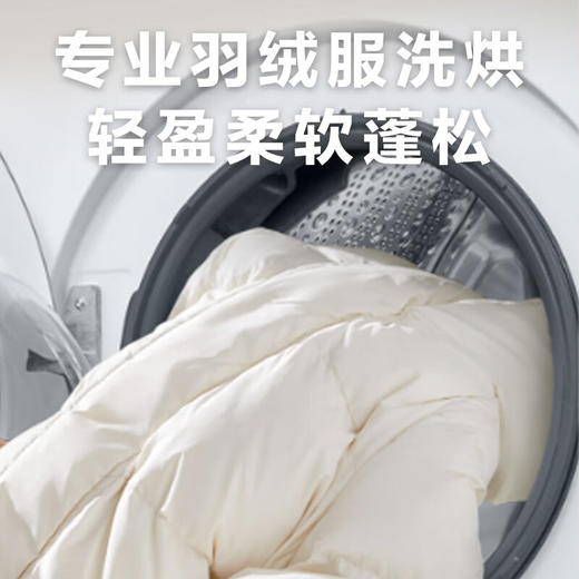 西门子（SIEMENS）10KG大容量洗烘一体洗衣机 羽绒服洗烘 智能除渍立体烘干干衣即停一级能效WJ25GLU04W 商品图3