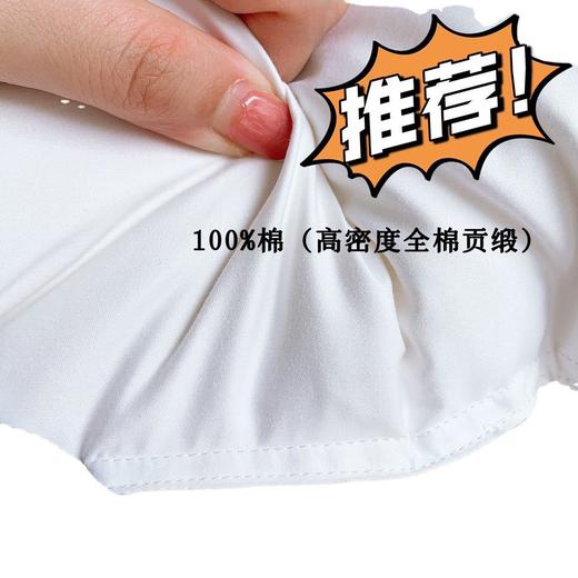 日本伊豆羽绒枕枕芯单人家用全棉羽绒枕头高端酒店枕芯 商品图3