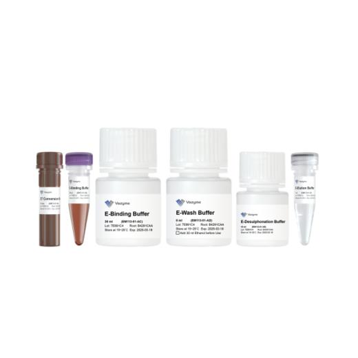 EpiArt Ultrafast Magnetic DNA Methylation Bisulfite Kit 商品图0