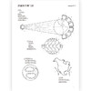 海面之下：海洋生物形态图鉴（新版） 商品缩略图2