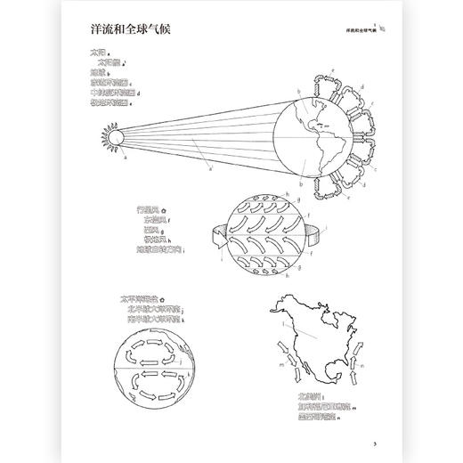 海面之下：海洋生物形态图鉴（新版） 商品图2