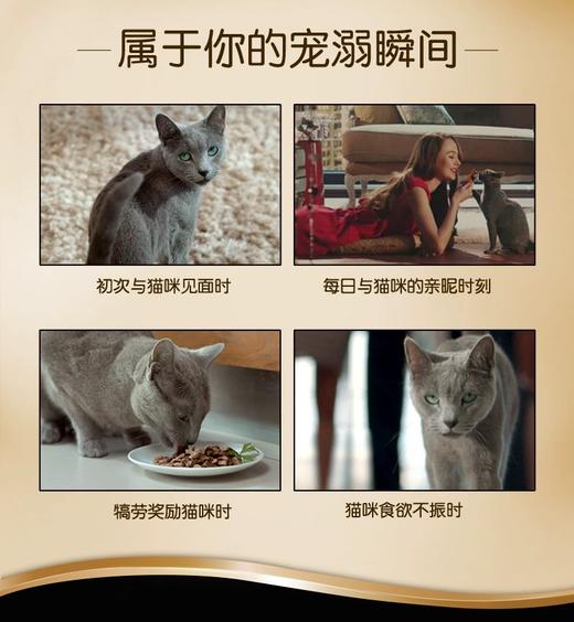 希宝 黑罐猫粮罐头 鲜煮系列 商品图5