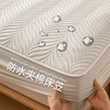 a类防水夹棉床笠全包型床罩家用可机洗加厚防滑席梦思款保护套隔尿床单孕妈专用款 商品缩略图0