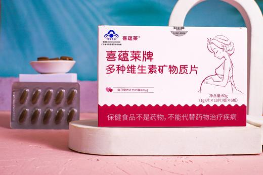 喜蕴莱牌多种维生素矿物质片 商品图1