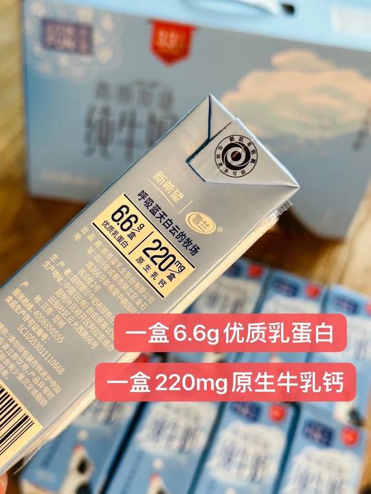 新～望雪兰全脂&脱脂纯牛奶，到手5箱 22SS719 商品图4