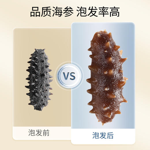 【正宗同仁堂品牌】北京同仁堂 净制海参干海参100克(151-200头/500克) 去砂嘴 去内脏 严格控盐 品质严选SY 商品图4