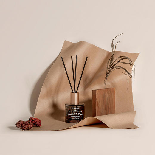 DAILY LAB 正气无火香氛轻奢卧室内祛异味香薰 商品图1